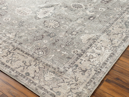 Becki Owens Davina Indoor Machine Woven Rug