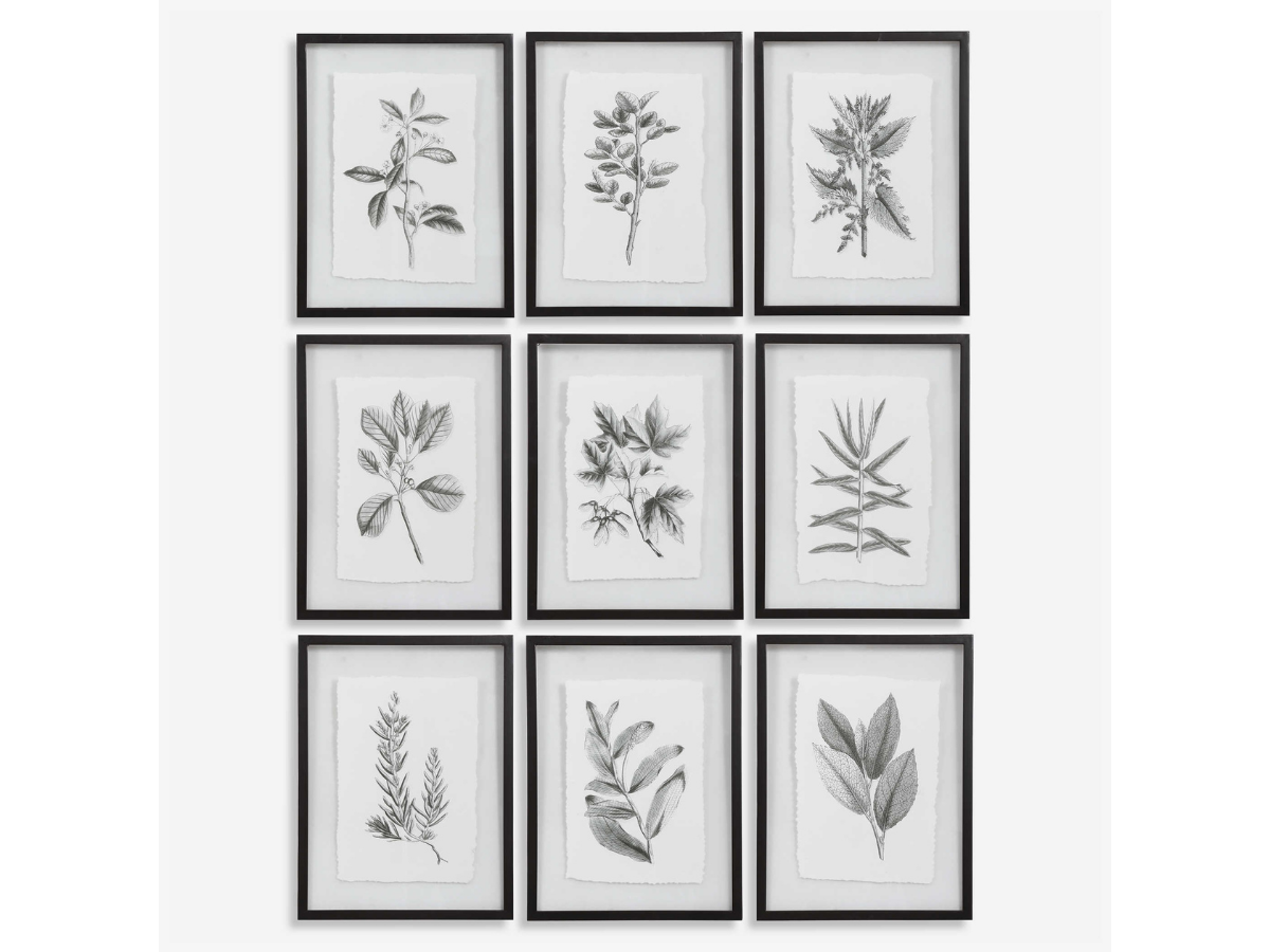 Abbyson Home Flora Framed Prints, Set of 9