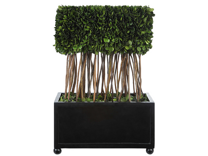 Abbyson Home Percy Rectangular Topiary