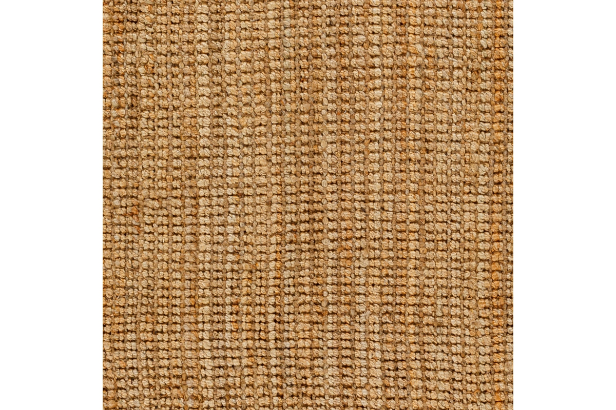 Becki Owens Chloe Indoor Hand Woven Rug