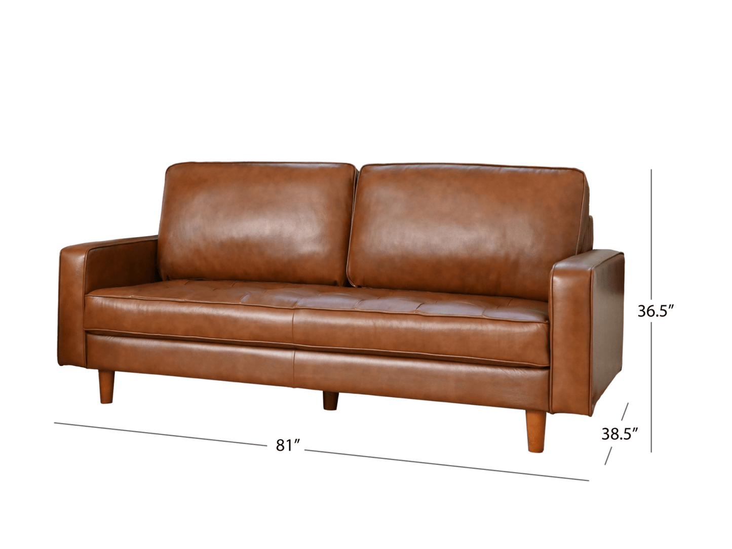 Holloway Mid-Century Leather Sofa - Abbyson - Living Room